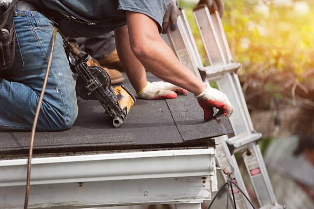 Roof Gutter Cleaning in Sunnyvale, TX